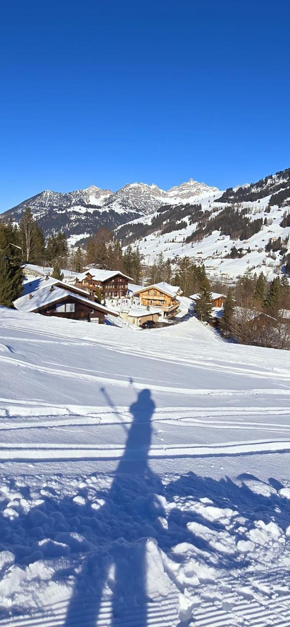 Large Deluxe Studio For 2 - Chalet Lovo Lenk Buitenkant foto