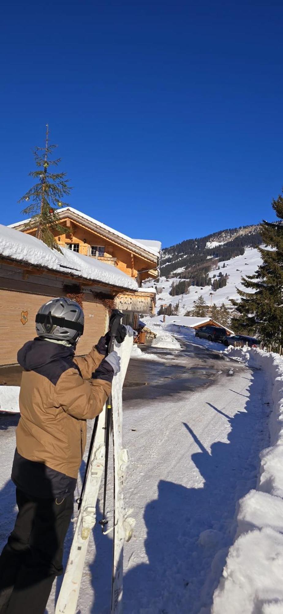 Large Deluxe Studio For 2 - Chalet Lovo Lenk Buitenkant foto
